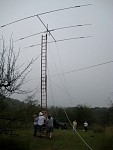 IMG_3431.jpg